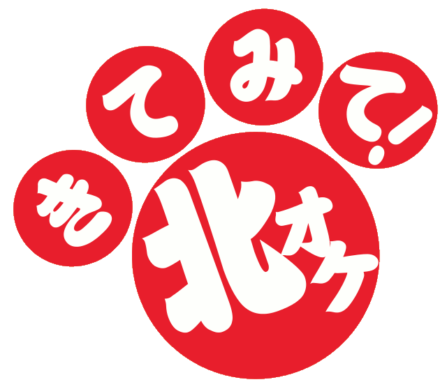 北オケがやってきた！第18回　大きなオーケストラの小さな音楽会の画像