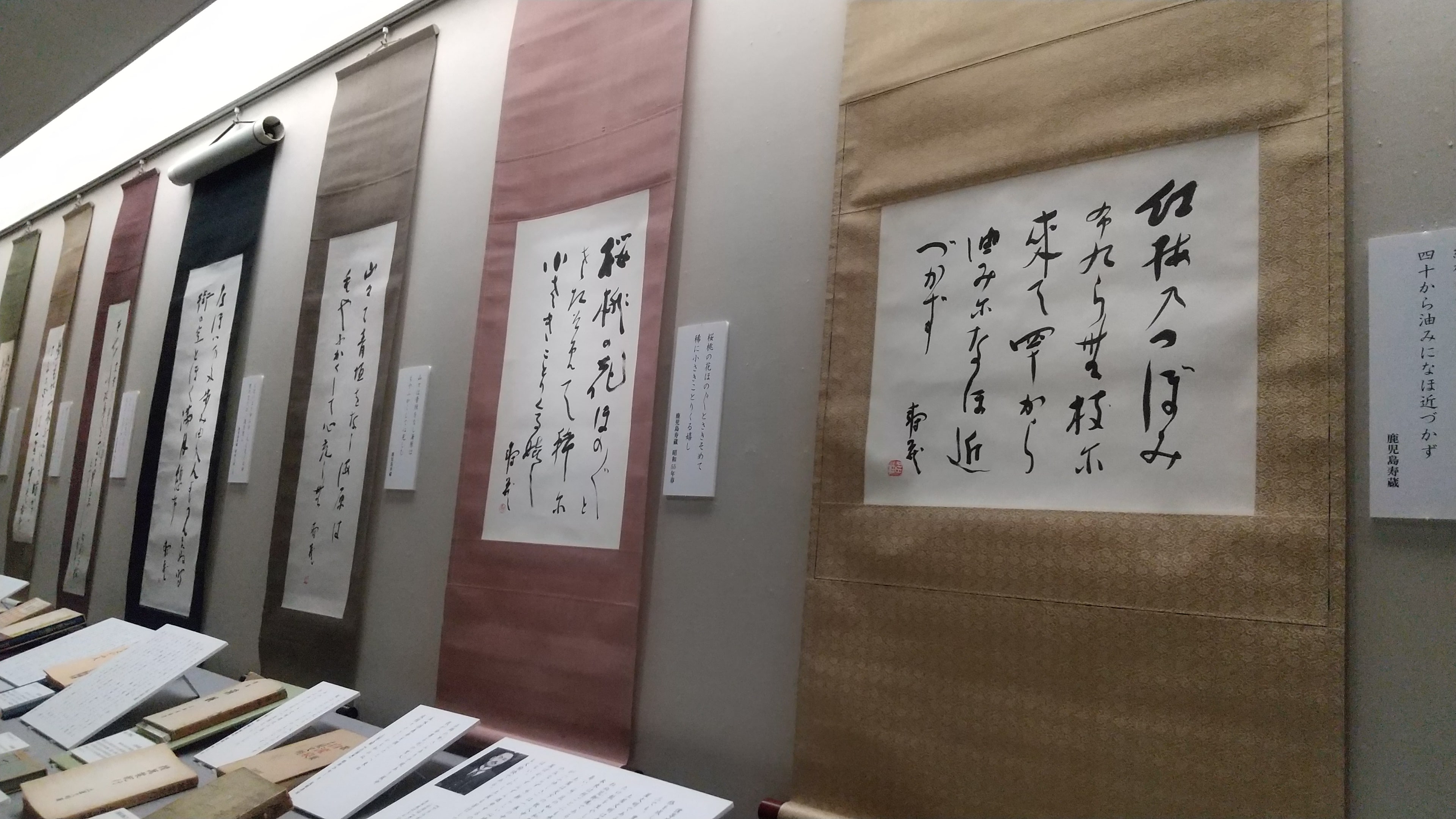展示5