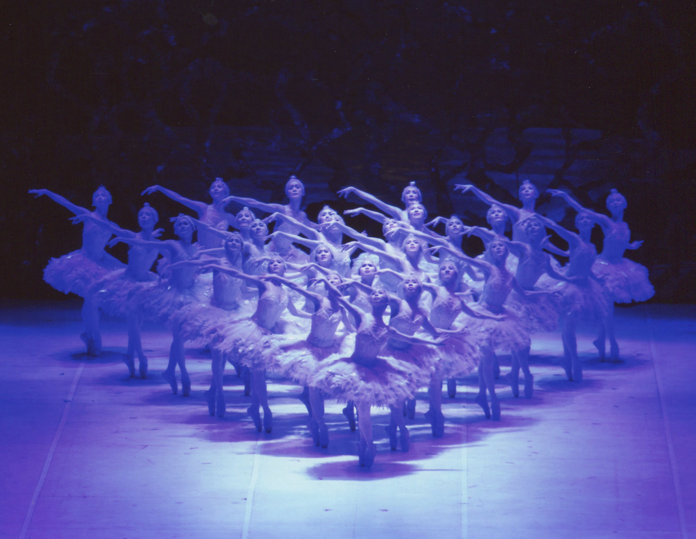 松山バレエ団新春公演　新「白鳥の湖」の画像
